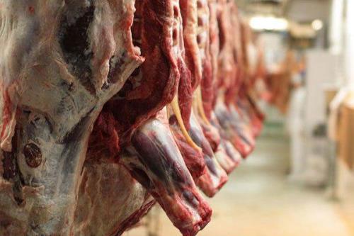 جدید ترین قیمت گوشت در بازار