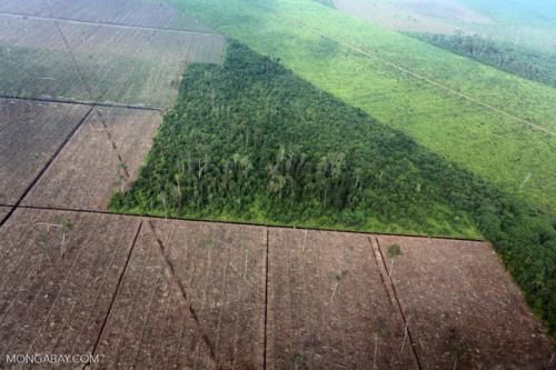اقداماتی برای مدیریت آب و خاک و مقابله با جنگل زدایی